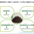 欧洲品质君子兰肥料土君子兰花泥肥料腐叶营养土绿植养花种菜家庭 1袋君子兰营养土