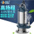臣源德国不锈钢潜水泵220v家用排污抽水泵高扬程农用家用Mini 370w/1寸清水泵