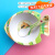 彩虹梦  竹纤维可爱卡通儿童碗勺子套装 宝宝餐碗小孩子辅食饭碗汤碗 029黄绿鱼碗勺 盒装