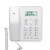 摩托罗拉(Motorola)电话机座机固定电话 办公 免电池 有绳 大屏幕CT310C(白色)