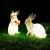 定制户外防水发光动物灯ld松鼠灯兔子灯熊猫灯草坪庭院太阳能景观灯 兔子AB款