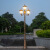 V-POWER户外路灯LED高杆灯小区景观灯花园照明灯欧式别墅3米庭院路灯 2头2.3米黑色