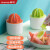 茶花（CHAHUA）冰块模具家用辅食制冰盒自制冰棍雪糕食品级冰淇淋模具冷冻格 (绿色+橙色)植享冰棒模