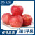 洛川苹果王掌柜红富士苹果净重9斤单果250g+ 一级果 新鲜水果 源头直发