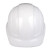 同固 一盾安全帽工地国标加厚透气ABS建筑工程男夏季施工领导防护头盔定制 SF-12标准款 白色 均码