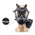 德联泰 防毒面具头戴式 FNJ05过滤式呼吸防化全面罩 单面罩+滤罐