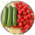 京喵 山东水果小黄瓜圣女果组合 2.5kg泡沫箱装 小西红柿青瓜 新鲜水果蔬菜健康轻食