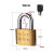 定制适用铜挂锁子母锁铜锁挂锁防盗锁老式挂锁管理锁电力表箱 电力30mm