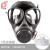 普达 自吸过滤式防毒面具 化学化工喷漆全面罩 防一氧化碳套装 MJ-4003+P-CO-2过滤罐
