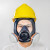 求同2800防尘毒全面具套装 防有机蒸汽酸性气体喷漆防毒面具 2800+2621防有机蒸汽七件套