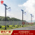 正翔ZX-TYD014-25小区别墅太阳能庭院灯4米庭院灯景观亮化灯具E款