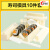 密小米寿司食材全套工具 模具饭团diy模具卡通儿童食品级吃饭米饭神器寿 寿司模具10件套