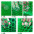 菲銮 绿色塑料平网格 养殖围栏家禽养殖胶网网片一米价  2米宽0.8cm孔