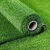 仿真草坪地毯人造人工假草皮绿色塑料装饰工程围挡铺设 2厘米春草加密 2米宽 1米长