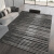 现代简约地毯客厅轻奢沙发茶几毯北欧风灰色卧室地  250*300cm(整 黑白灰-8A