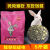 iosn宠物兔粮兔饲料成年幼兔子食物豚鼠大包装批发 20斤成年兔粮(经济实惠)