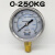 定制不锈钢外壳YN60耐震压力表防震抗震10/150/100/250KG液压表油 0-250KG