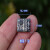 微型航模 刷电调 刷电 电子速度控器 电压 2S-3S 电流7A