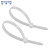 稳斯坦 WST181 塑料捆扎带 自锁式尼龙扎带 绑电线束线带 透明扎带 100*2.5mm(1000条）