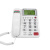 电话机 大字键超大铃声 办公固定电话免电池时尚创意座机 红色 877