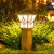 动真格（DongZhenGe）太阳能户外仿古庭院草坪柱头灯花园布置装饰围墙院子照明景观灯柱 高配款-幸运花黑色-高60cm
