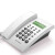 鸿谱 电话机座机来电显示免电池免提壁挂通讯电话机 HCD868(79型) 白色