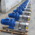 不锈钢转子泵厂家 凸轮式双转子泵  高粘度卫生级凸轮转子泵 0.6-2T/H(0.75kw)