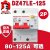 DZ47LE-125漏电断路器单相两极大功率保护开关D型80A 2P 125A