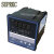 日曌C900FK02-M*FE温控表 厂家直销 rex-c900温控器温度通信/光缆