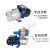 水泵自来水增压泵不锈钢自吸泵增压水泵抽水机高扬程ONEVAN BJZ150-B/1000W/220V钢叶