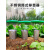 IGIFTFIRE定制园林不锈钢移苗器种植花卉果蔬菜移栽器筒式移植器打孔洞挖苗 小号