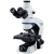 定制奥林巴斯显微镜CC1 正置生物体视显微镜三目显微镜 奥林巴斯CKX41