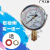 定制上海宜川上岭压力表双刻度0-0.25MPa ,0-138℃三申器配件 0-0.25MPA