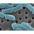 47mmPCTE纳米模板塑料微颗粒聚碳酸酯滤膜0.01-30um孔径 47mm 0.2um 1片纳米模板 塑料微