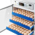 琛选工品 孵化器智能大型中型养殖孵化机家禽孵蛋器剪板D137 单位：个 68枚多功能双电版 