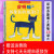 皮特猫系列辑全套6册中文版3-6岁好性格养成书我爱我的脏鞋子 皮特猫第一辑全6册