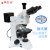 定制睿鸿正交上下偏光显微镜带补偿镜检偏器 可金相显微镜可测量 偏光显微镜加配测量电子目镜及1