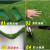 德银 仿真草坪地毯人工假草皮人造塑料幼儿园户外足球场阳台铺绿色草垫 1.0cm草