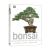 Bonsai 英文版 盆栽 盆景树护理指南 精装 英文原版 进口英语原版书籍 DK