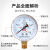 HKNA仪表空压机压力表Y-60径向普通气压表气泵1.6mpa水压表 0-0.16mpa
