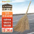 Supercloud大扫把竹环卫马路物业柏油道路地面清扫清洁大号笤帚扫帚 竹枝连体5斤款 1把