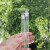 中环力安 比色管 实验室透明带刻度平底试管 纳氏玻璃刻度试管透明 比色管6支组 25ml