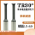 30度T型单齿螺纹铣刀TR1012141618单牙梯形合金铣牙刀1.5-6.0 黑色 通用涂层TR30*6.0