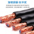 铜网控制电缆RVSP2芯0.75 1.0 1.5 2.5平方信号电线485双绞屏蔽线 2芯2.5双绞屏蔽线200米铜芯铜网