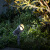 灯典（DENG DIAN）公园景观绿化射树灯庭院花园户外灯防水插地射灯园林照树灯C-005753-中性光 5w 4000K IP65