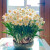 鑫意进口重瓣水仙花种球年宵绿植花卉室内水培桌面盆栽植物土培种球 白色水仙种球 （5个装含盆套装）塑料盆