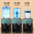 美幸达（MEI XING DA）饮水机家用迷你台式桌面饮水器办公室经典台式饮水机小型制冷/制热型学生宿舍冷热两用/ 绿色-推杯取水（温热款）