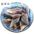 虎钢馋鲅鱼干500g渔民自晒海鲜干货海产马鲛鱼咸鱼干腌制风干