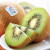 源枝园味新西兰进口绿奇异果绿果 25-27只装礼盒装绿心猕猴桃新鲜水果 12只普通装单果约120g1.40kg