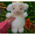 jELLYCAT2022英国jellycat公仔Little系列狐狸毛绒玩偶企鹅 青蛙 兔子玩具 小羊 25cm 其它大小